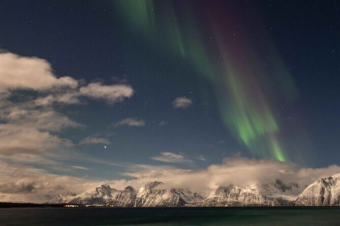 24hr Northern Lights & Whale Watching Cruise - Northern Lights Chase by Boat: What You Can Expect When the Sky Plays Games