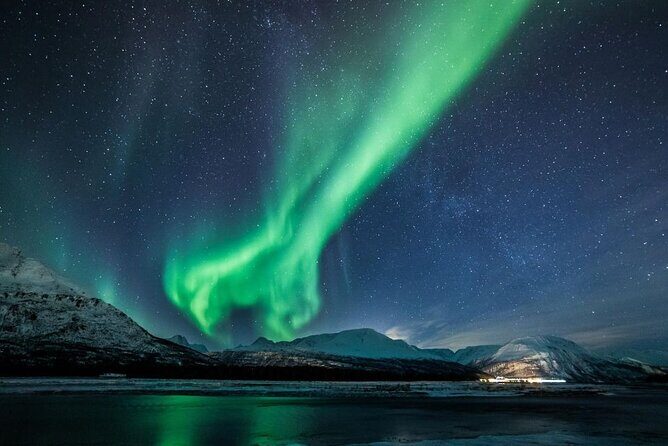 24hr Northern Lights & Whale Watching Cruise - The Panorama Lounge Lectures: Turning Waiting Time Into Useful Time