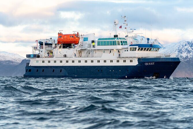 24hr Northern Lights & Whale Watching Cruise - Inside the Boat: Cabins, Warmth, and Meals That Keep You Going