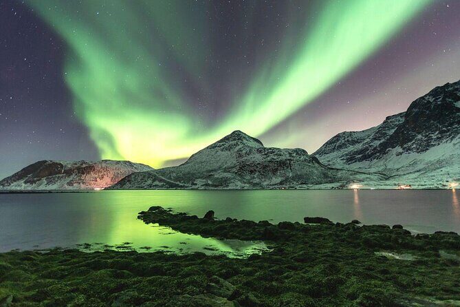 Adults Only Aurora Hunt with Wandering Owl - Aurora hunting outside Tromsø: the real value is flexibility