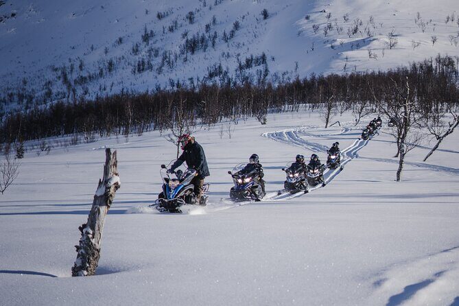 Adventure Snowmobile Safari - The route through Tamokdalen: what you’ll likely see day-of