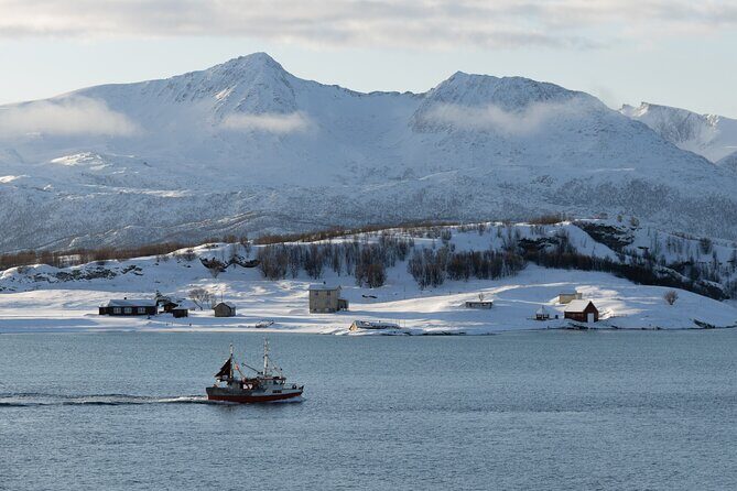 All-Inclusive Arctic Fjords and Sommarøy Scenic Tour - Key Things to Know Before You Go
