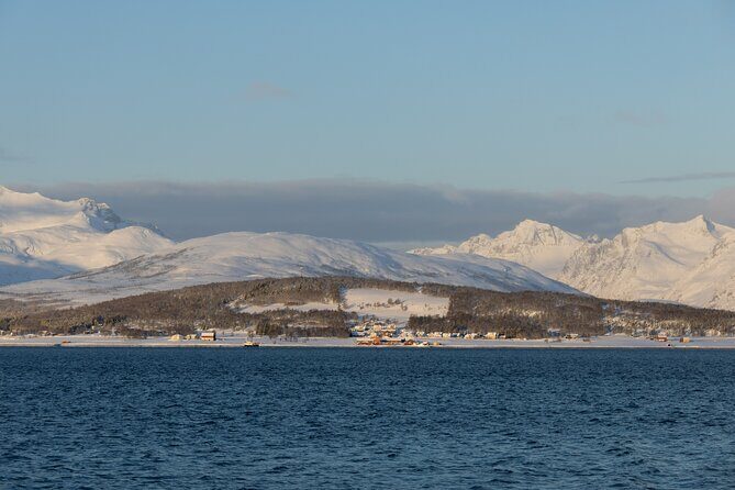 All-Inclusive Arctic Fjords and Sommarøy Scenic Tour - Small Details That Make the Day Feel “All-Inclusive”