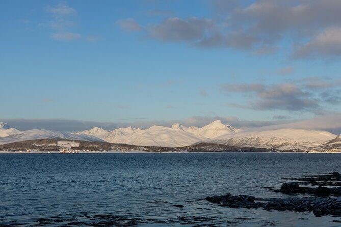 All-Inclusive Arctic Fjords and Sommarøy Scenic Tour - The Kvaløya Stretch: Fjords, Mountains, and Wildlife Odds
