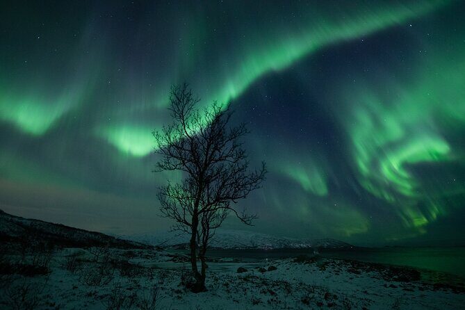 An All-Inclusive Tour - Aurora & Arctic Experience - Campfire Setup: Thermal Suits, Reindeer Furs, and Eco-Friendly Details
