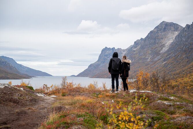 Arctic Fjord Roadtrip with Scenic Picnic from Tromso - Small-group fjord roadtrip from Tromsø: what you’re actually signing up for