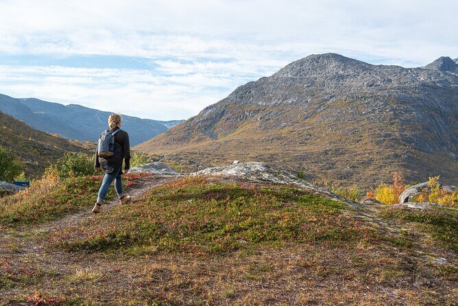 Arctic Fjord Roadtrip with Scenic Picnic from Tromso - The scenic route stops: from Kvaløysletta to fjords and Sommarøy