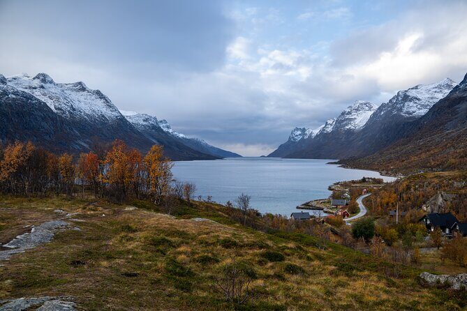 Arctic Fjord Roadtrip with Scenic Picnic from Tromso - Guides who keep the day human: stories, wildlife facts, and pro-level photo help
