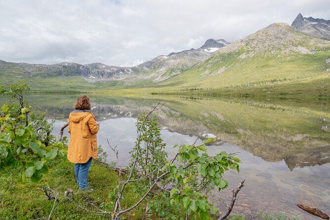Arctic Fjord Roadtrip with Scenic Picnic from Tromso - Comfort and small details: van setup, charging, and the photo delivery promise