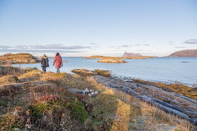 Arctic Fjord Roadtrip with Scenic Picnic from Tromso - Price and value: is $151.15 fair for a Tromsø Arctic day?