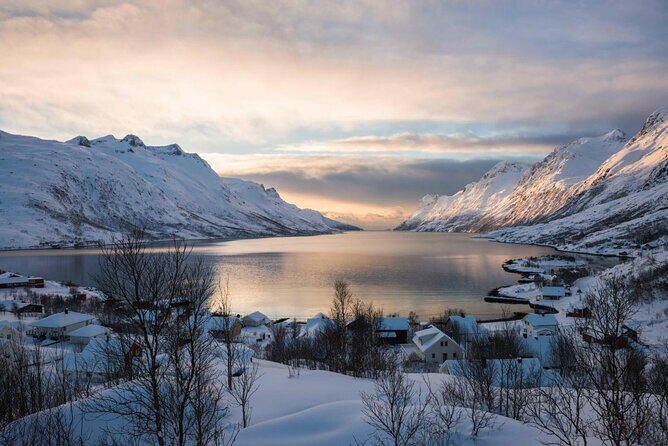 Arctic Fjord Sightseeing by Minibus - Key highlights you’ll care about