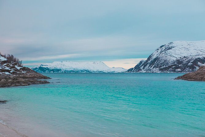 Arctic Fjord Sightseeing by Minibus - Hella and Skavberget rock carvings: the short stop with real meaning
