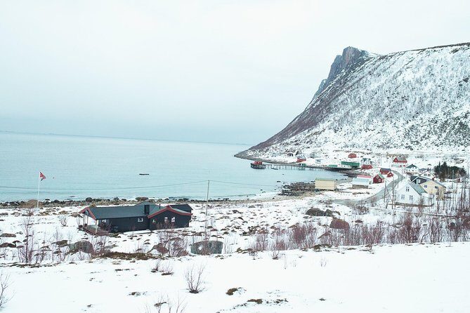 Arctic Fjord Sightseeing by Minibus - Lunch, coffee, and the tripod: how the tour supports real comfort and photos