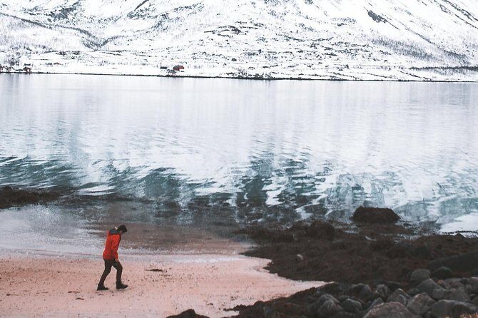 Arctic Fjord Sightseeing by Minibus - Sommarøy island timing: sandy beaches, blue water, and 45 minutes to slow down