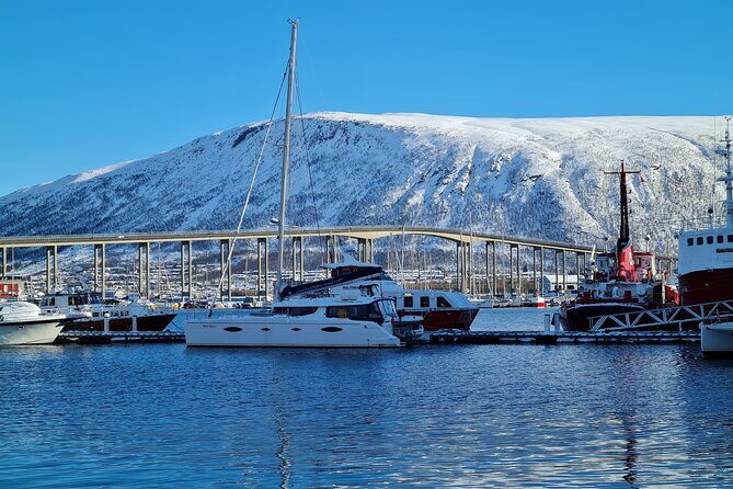 Arctic Fjordcruise & Safari in Tromso with Luxury Catamaran - The Rya stop: strong currents, birds, and dolphins