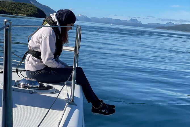 Arctic Fjordcruise & Safari in Tromso with Luxury Catamaran - The Tirpitz WWII story: history with a shipboard storyteller
