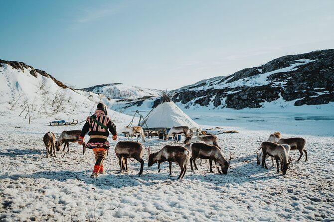Arctic Fjords and Reindeer Experience – Small group tour - Key highlights worth planning for