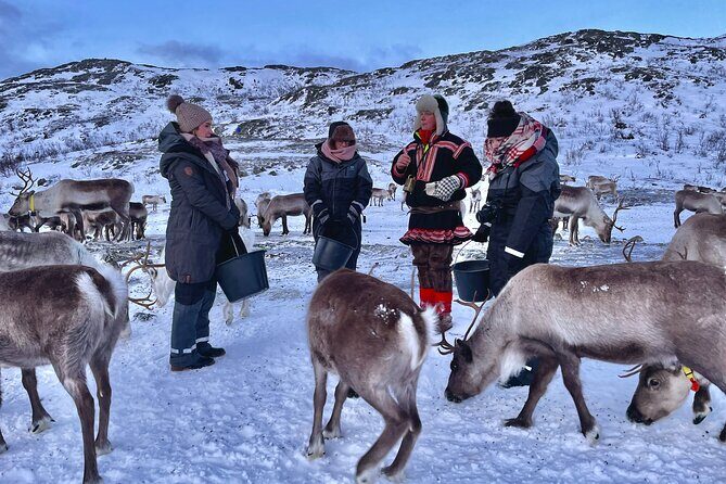 Arctic Fjords and Reindeer Experience – Small group tour - FAQ