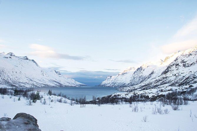 Arctic Fjords Road Trip - Stop 1 on Kvaløya: Whale Island landmarks and a quick jump into Arctic scenery