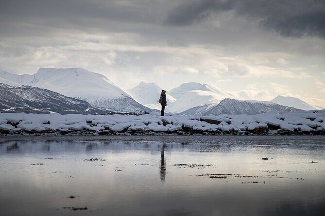 Arctic Landscapes Hiking, Sightseeing & Snowshoeing Private Tour - Key things to know before you go
