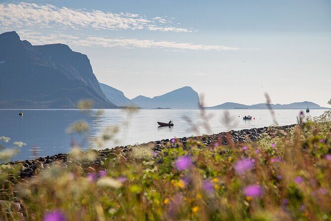 Arctic Landscapes Hiking, Sightseeing & Snowshoeing Private Tour - Warm lunch, hot drinks, and dietary options that reduce stress