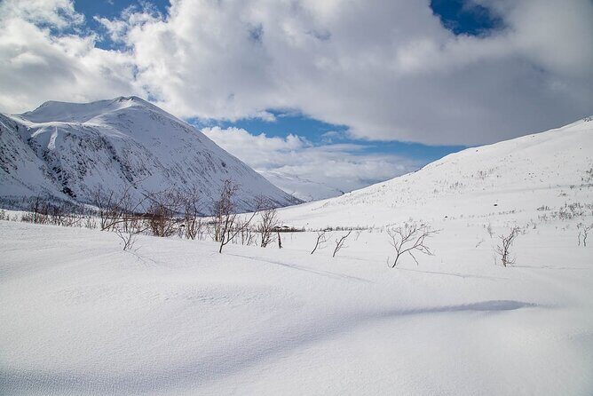 Arctic Landscapes Hiking, Sightseeing & Snowshoeing Private Tour - Arctic wildlife odds and why weather can change your whole day