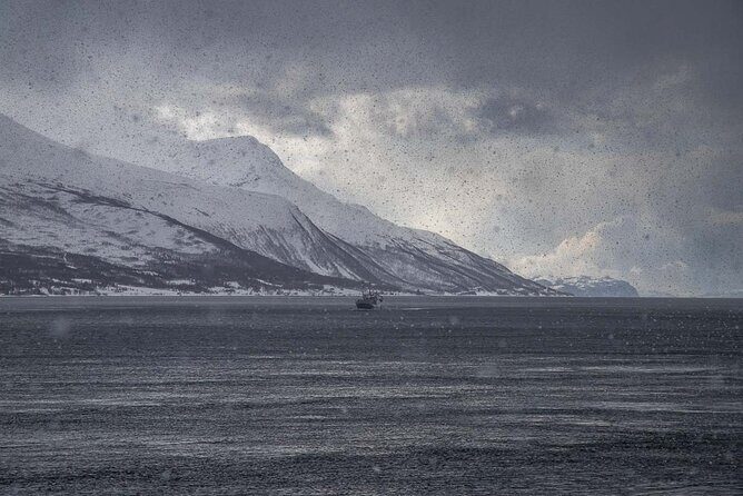 Arctic Landscapes Hiking, Sightseeing & Snowshoeing Private Tour - Price and value: what you’re really paying for here