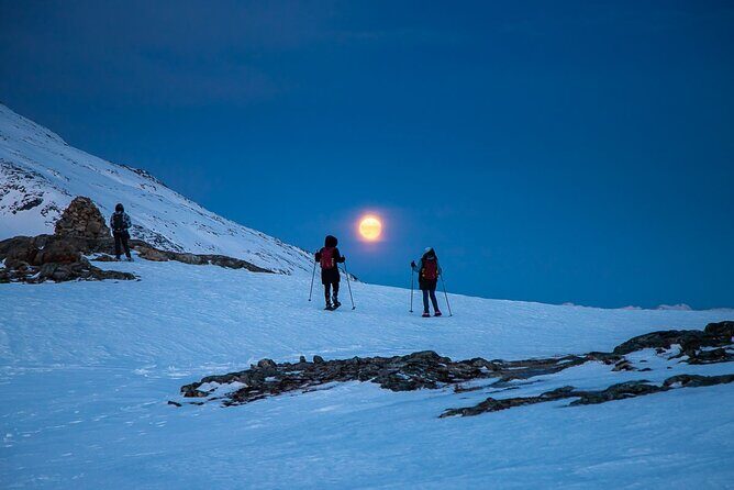 Arctic Landscapes Hiking, Sightseeing & Snowshoeing Private Tour - How Tromsø fjords walking and snowshoeing usually works in 5 hours