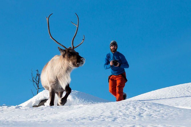 Arctic Nature Photography Sightseeing Tour from Tromso - Key things to know before you go