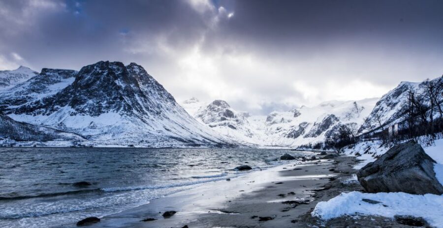 Arctic Nature Tour from Tromsø - Key highlights that make this tour worth your time
