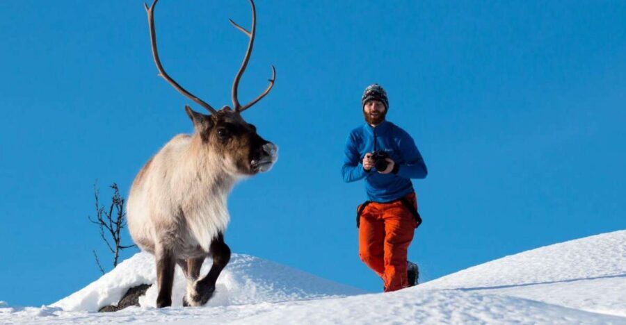Arctic Nature Tour from Tromsø - Photo support with a tripod: why this beats solo sightseeing