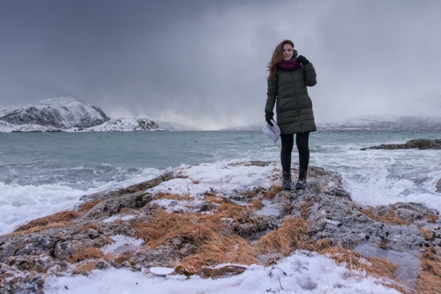 Arctic Nature Tour from Tromsø - Price and value: where the $142 ticket really pays off