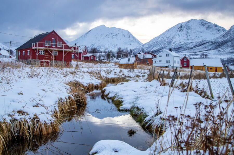 Arctic Nature Tour from Tromsø - Should you book this Arctic Nature Tour from Tromsø?
