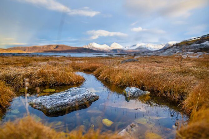 Arctic Nature Tour from Tromsø by minibus - Photo Service and Next-Day Delivery: Getting Better Shots Without Stress
