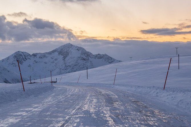 Arctic Nature Tour from Tromsø by minibus - Guides, Stories, and Sami Culture on the Way Between Viewpoints
