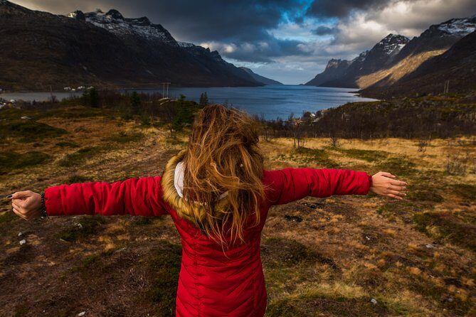 Arctic Nature Tour from Tromsø by minibus - Price and Value: Does $156.55 Make Sense?
