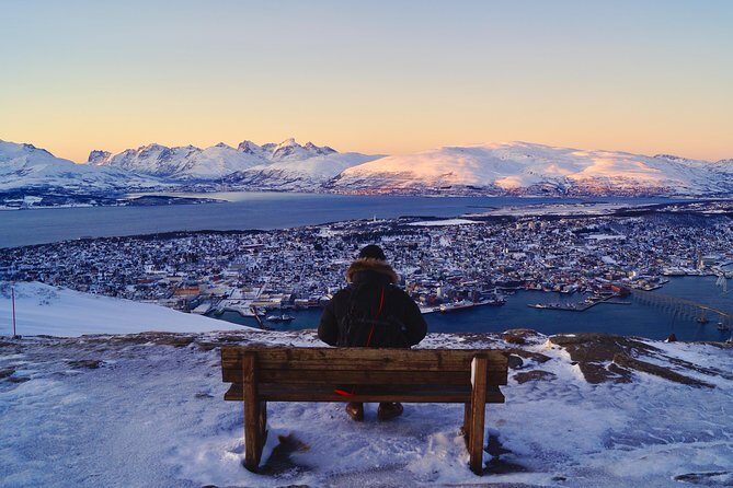 Arctic Panorama cable car excursion - Duration and pacing: what a 3-hour tour feels like