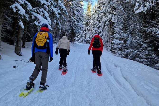 Arctic Snowshoe Hike in Norway - The 4-hour rhythm: from gear check to slow, steady progress