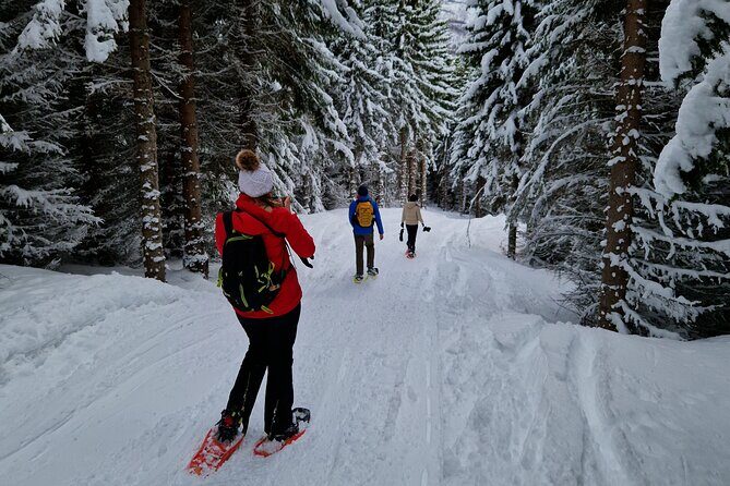 Arctic Snowshoe Hike in Norway - When snowshoes do not happen: spikes and a winter hike instead