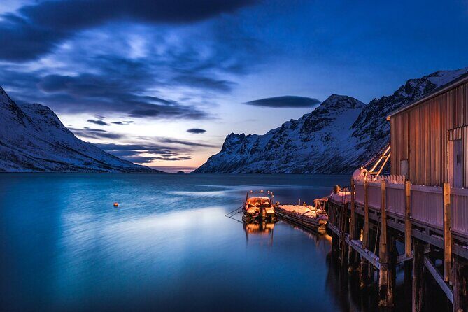 Arctic Wildlife and Fjord Sightseeing - Key highlights worth planning for
