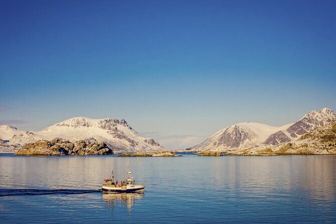 Arctic Wildlife and Fjord Sightseeing - Why Kvaløya makes this Arctic day tour feel special