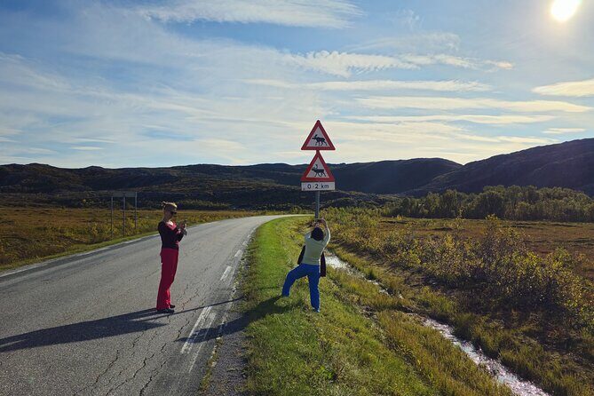 Arctic Wildlife and Fjord Sightseeing - The Kvaløya to Sommarøy route, stop by stop