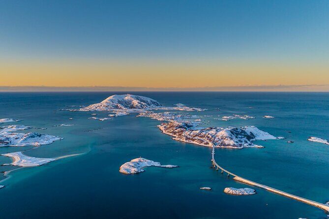 Arctic Wildlife and Fjord Sightseeing - Wildlife expectations: reindeer and birds are possible, not guaranteed