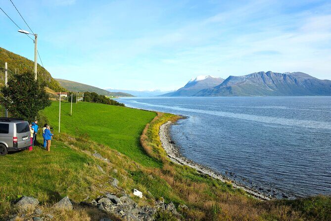 Arctic Wildlife and Fjord Sightseeing - Lunch and warm breaks: coffee stops, fish soup, and a reset button