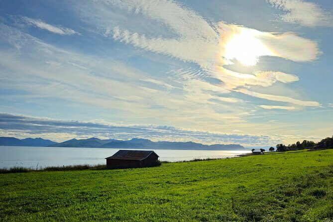Arctic Wildlife and Fjord Sightseeing - Who this tour suits best