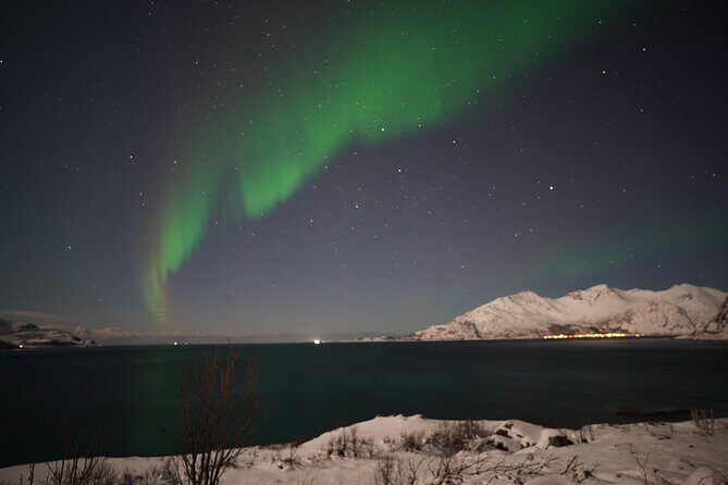 AURORA DAİLY Northern Lights Safari Tour 8 Guests with PİCKUP - Key highlights worth noting