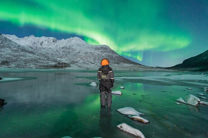 Aurora Hunt with the campfire and professional photographer - Aurora Hunting With a Campfire: what makes this experience work