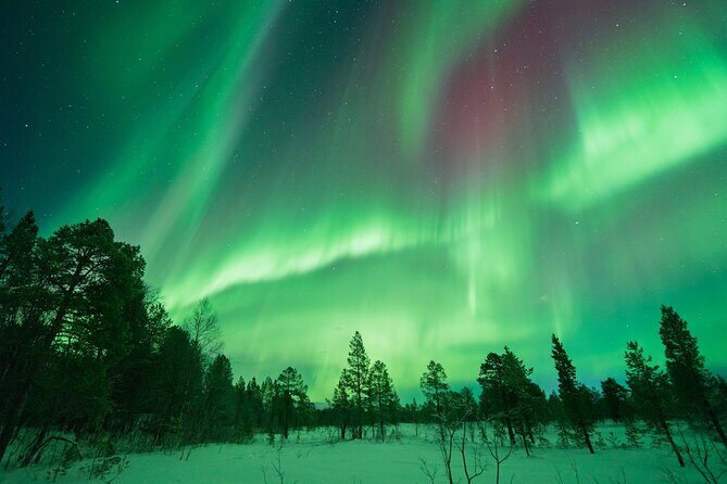 Aurora Hunt with the campfire and professional photographer - Route depth: Tromsø vs Finland and why those miles matter