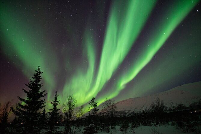 Aurora Safari Chase by big bus, free Photos, toilet onboard - From Prostneset at 6:15 pm: the ride that gets you ready