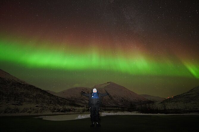 Aurora tour with free portrait and bonfire - Key Points You’ll Care About